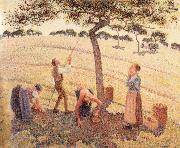 Camille Pissarro Apple picking at Eragny-sur-Epte oil on canvas